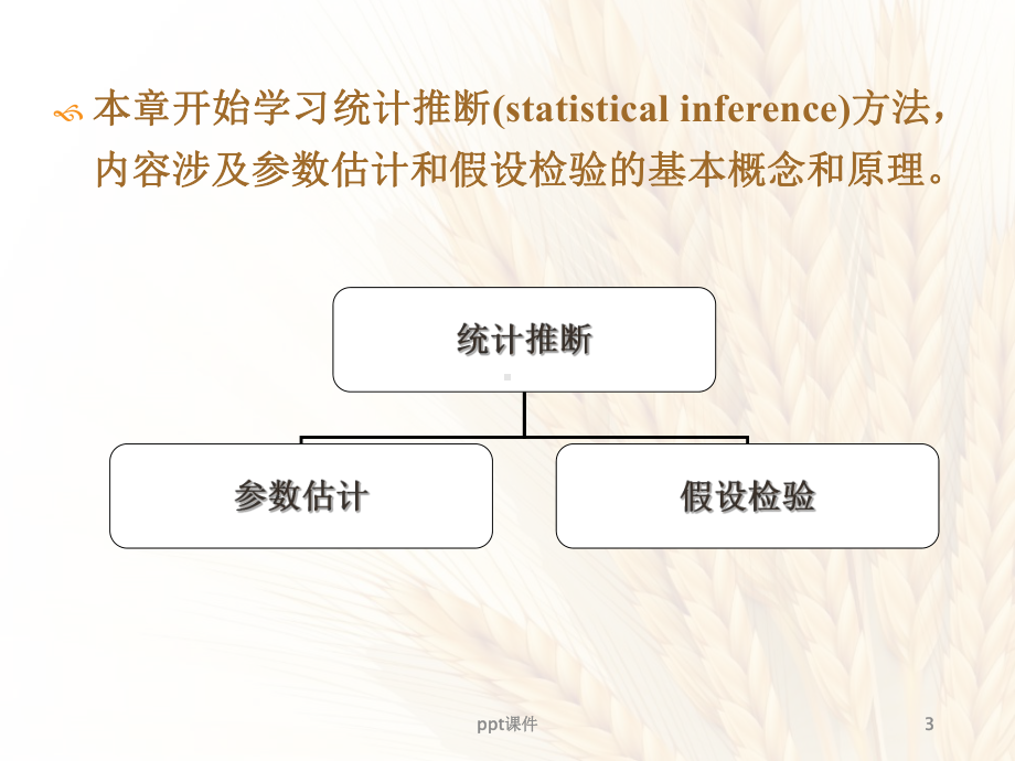 《医学统计学》参数估计与假设检验-课件.ppt_第3页