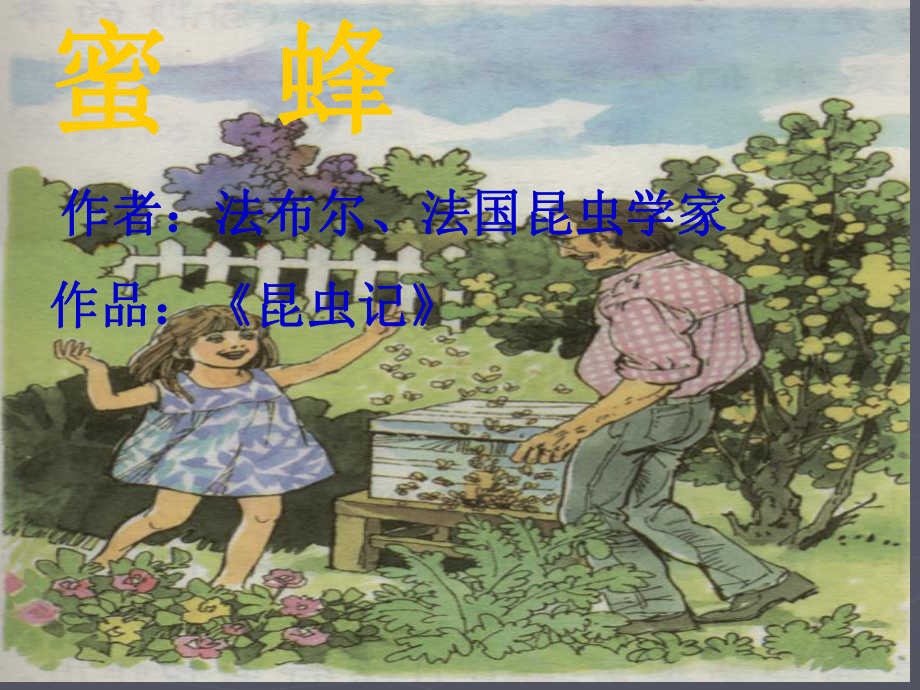 《蜜蜂》教学讲解课件.ppt_第2页