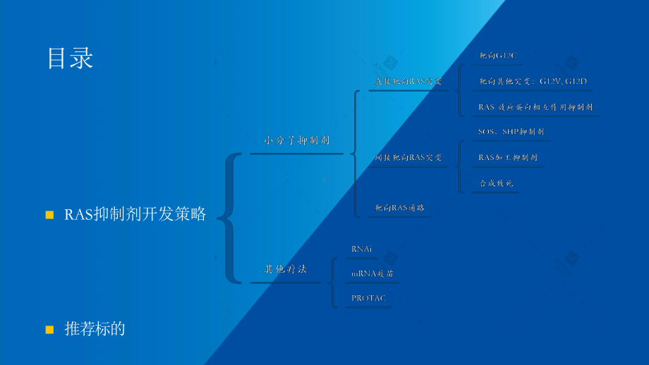 2021-2022年KRAS行业深度报告课件.pptx_第2页