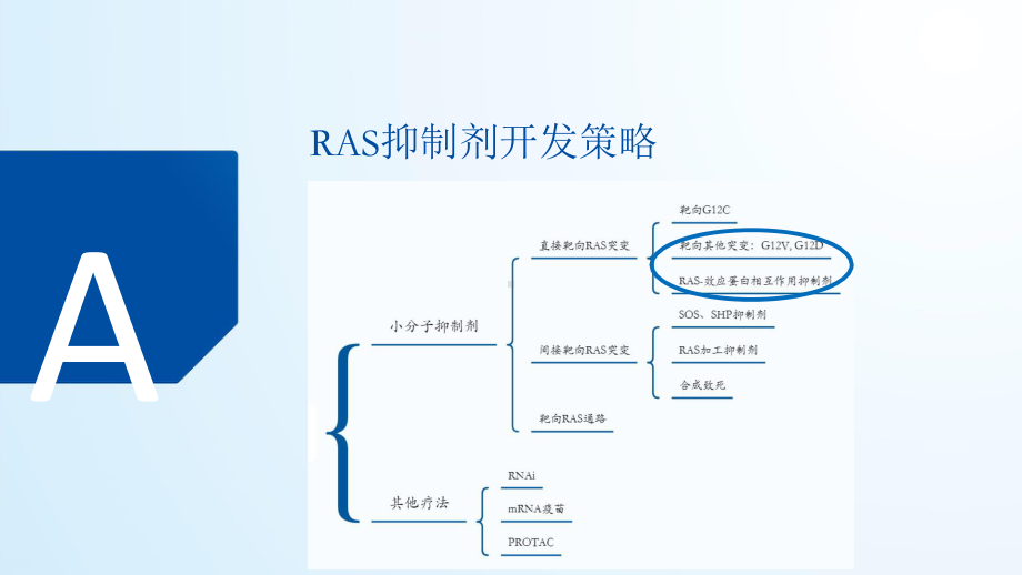 2021-2022年KRAS行业深度报告课件.pptx_第3页