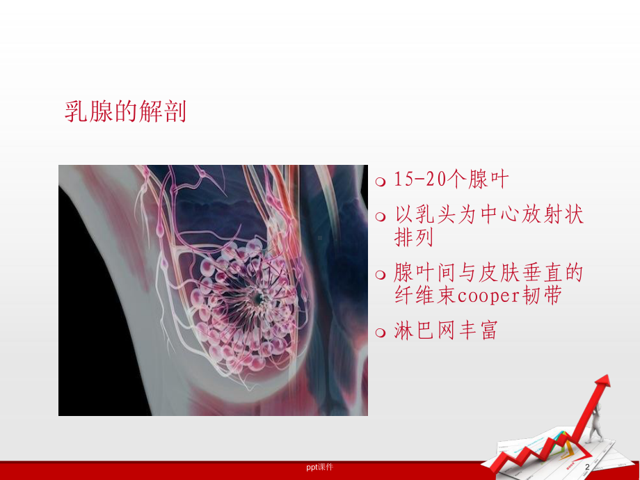 乳腺疾病病人的护理-课件.ppt_第2页