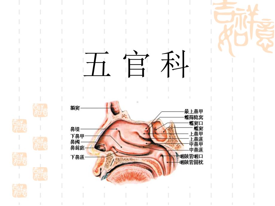 五官科教学讲解课件.ppt_第1页