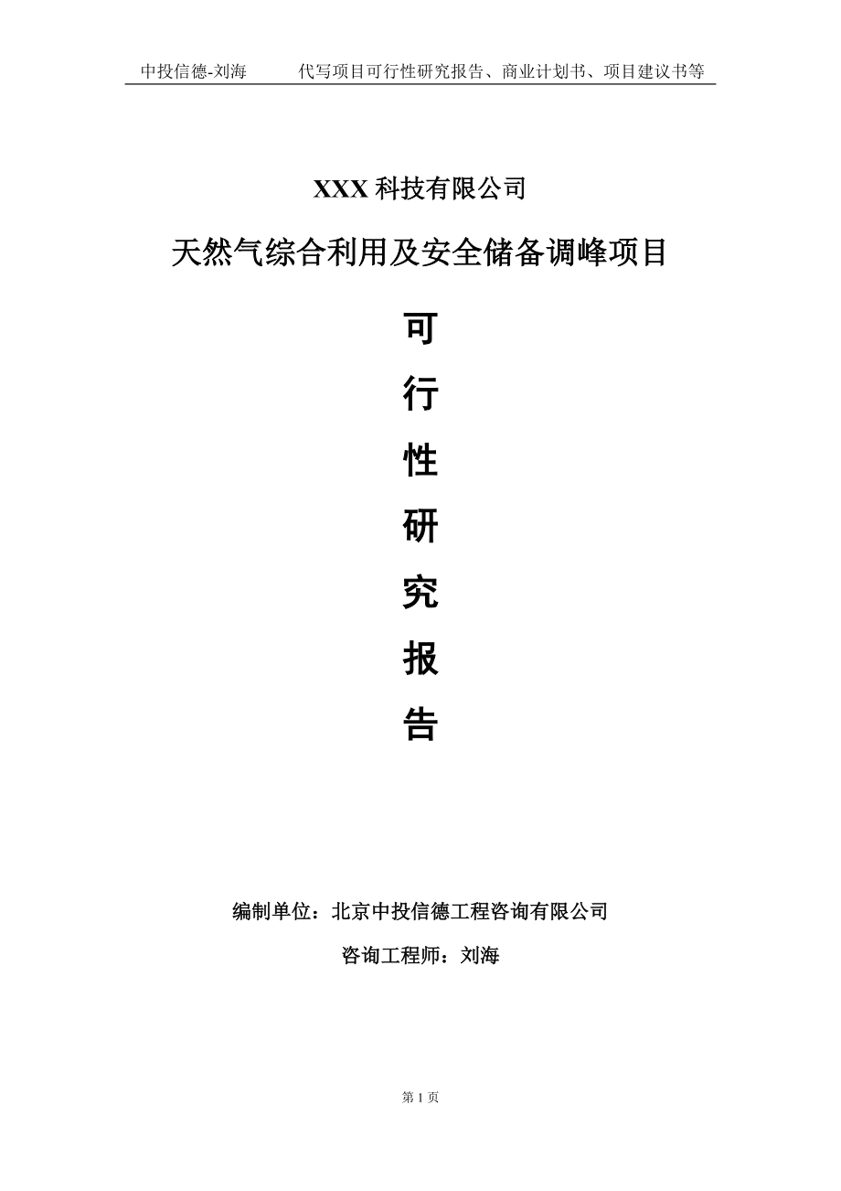 天然气综合利用及安全储备调峰项目可行性研究报告写作模板定制代写.doc_第1页