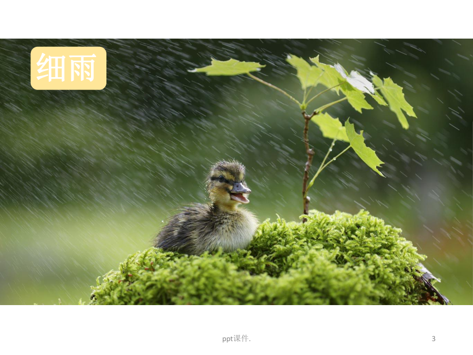 二年级下雷雨课件.pptx_第3页