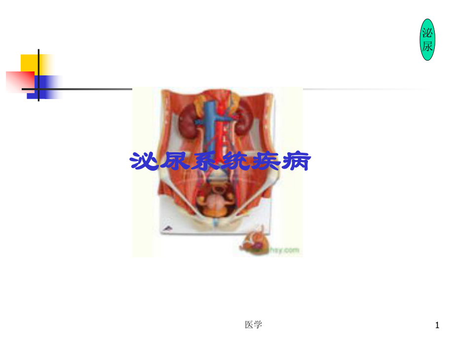 《内科学》复习-下集-课件.ppt_第1页