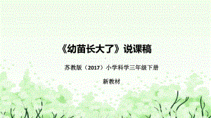 1.2《幼苗长大了》说课（附反思、板书）ppt课件(共41张PPT)-2023新苏教版三年级下册《科学》.pptx