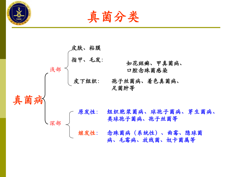 伏立康唑作用特点介绍课件.ppt_第2页