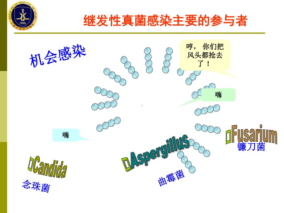 伏立康唑作用特点介绍课件.ppt_第3页