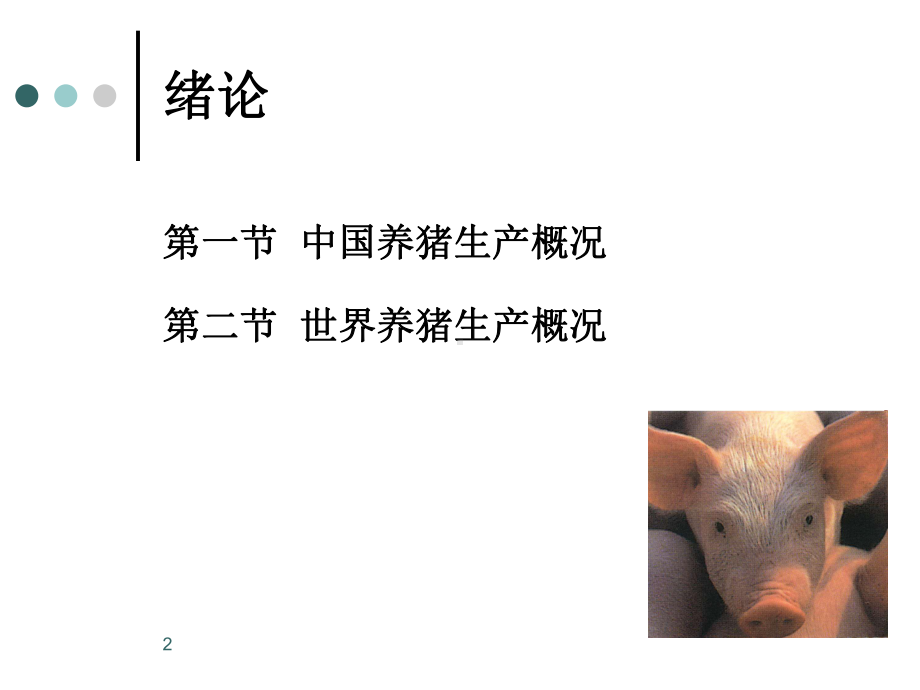 养猪学-绪论课件.ppt_第2页