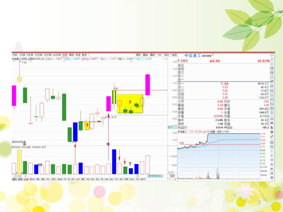 假阴真阳战法课件.ppt_第3页