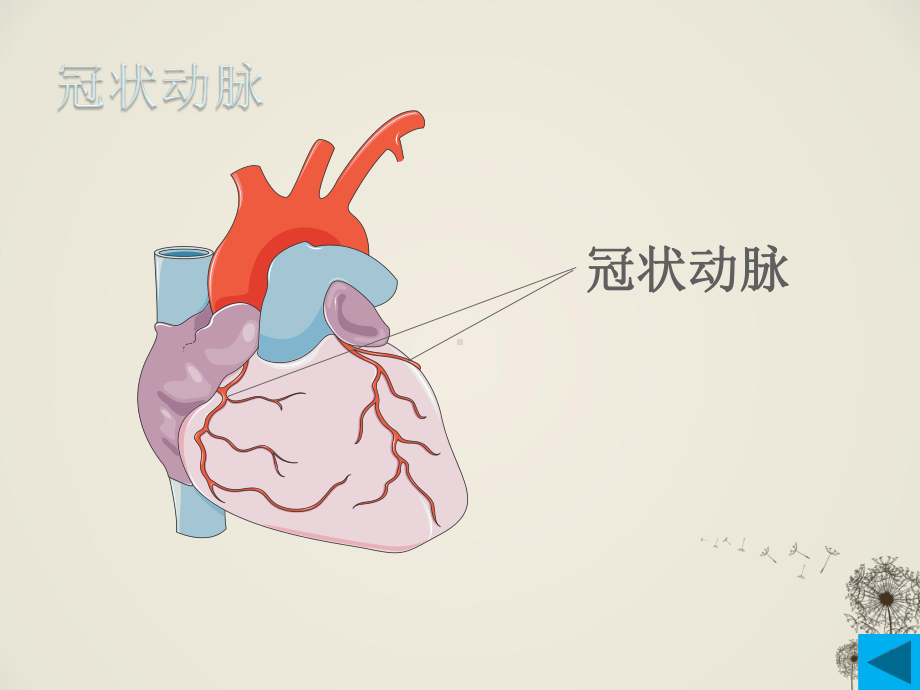 冠心病护理查房-课件(同名66).ppt_第3页