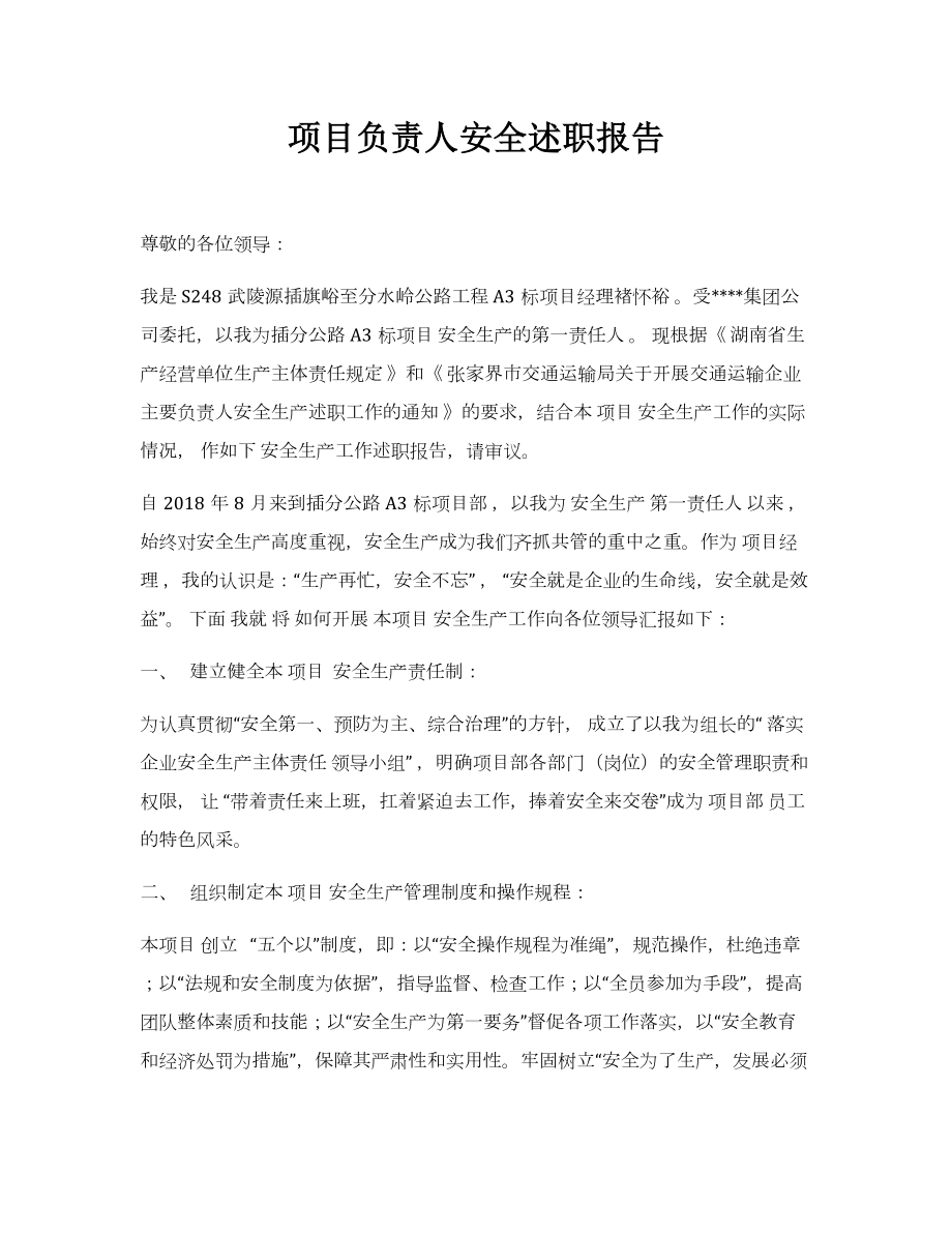 项目负责人安全述职报告参考模板范本.docx_第1页