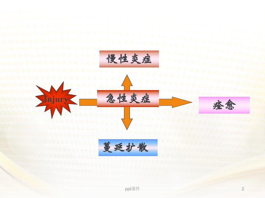 全身炎症反应综合征与多器官功能障碍-课件.ppt_第2页