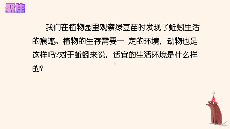 1.4蚯蚓的选择（ppt课件18张PPT+视频）-2023新教科版五年级下册《科学》.pptx_第3页