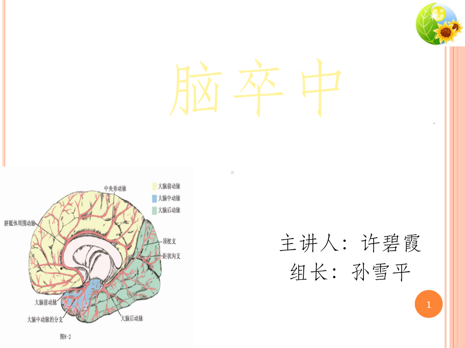 全面认识脑卒中课件.ppt_第1页