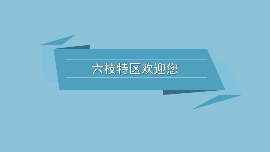 六枝特区演示汇报课件.pptx_第3页