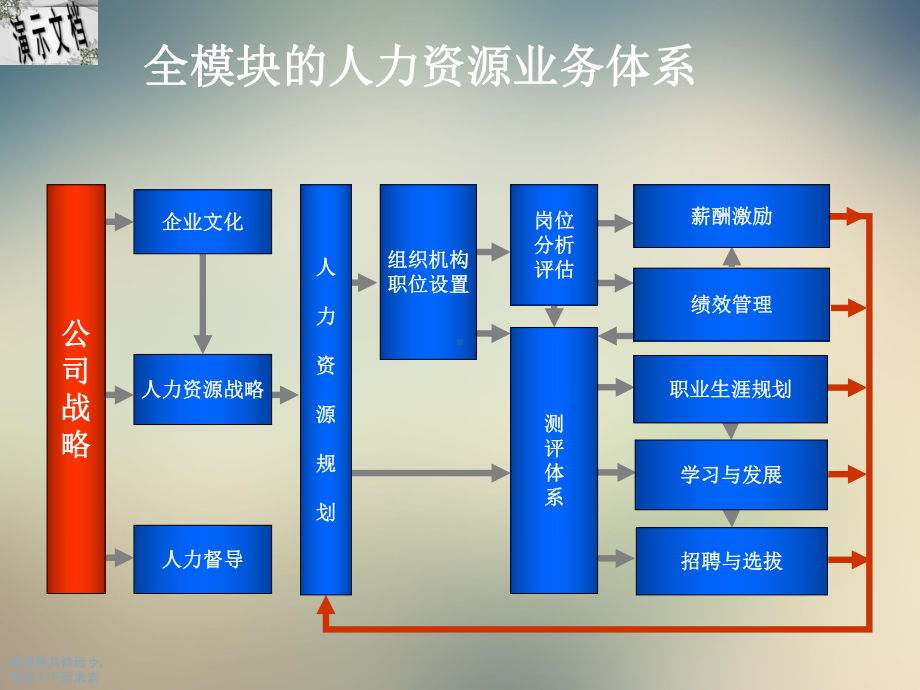 人才发展体系建设方案.ppt_第3页