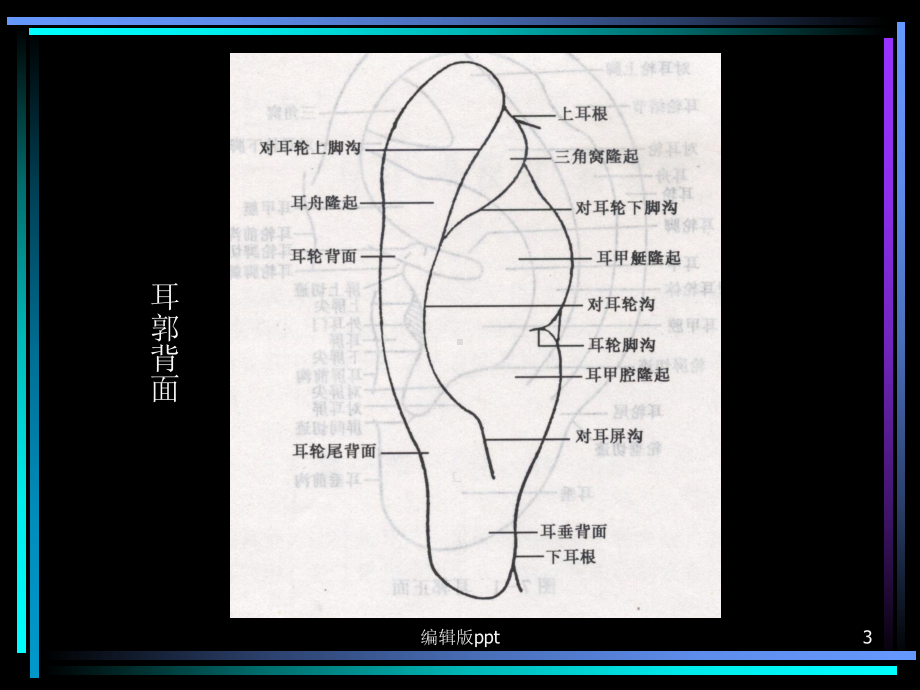 刺法灸法学耳针头皮针腕踝针课件.ppt_第3页