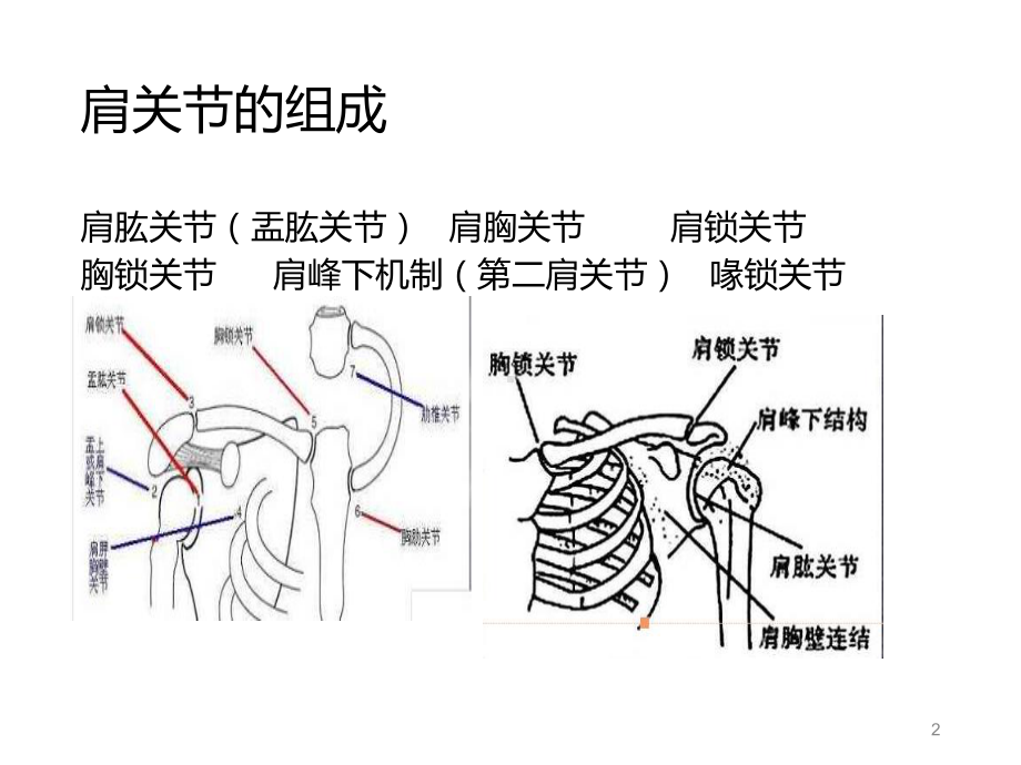 偏瘫患者肩痛的康复策略课件.ppt_第2页