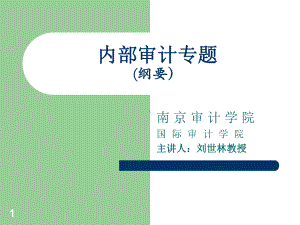 企业内部审计专题课件.ppt