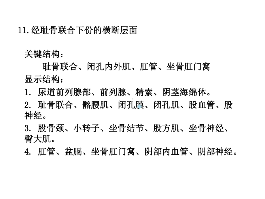 人体断面与影像解剖学盆部与会阴之二课件.ppt_第3页