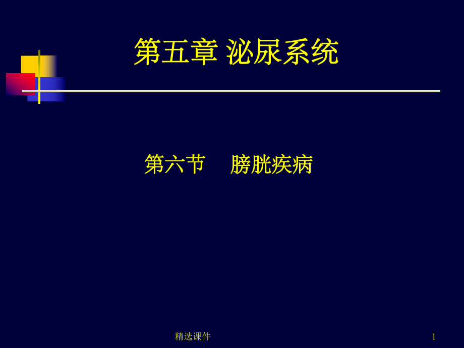 医学超声影像学-膀胱超声课件.ppt_第1页