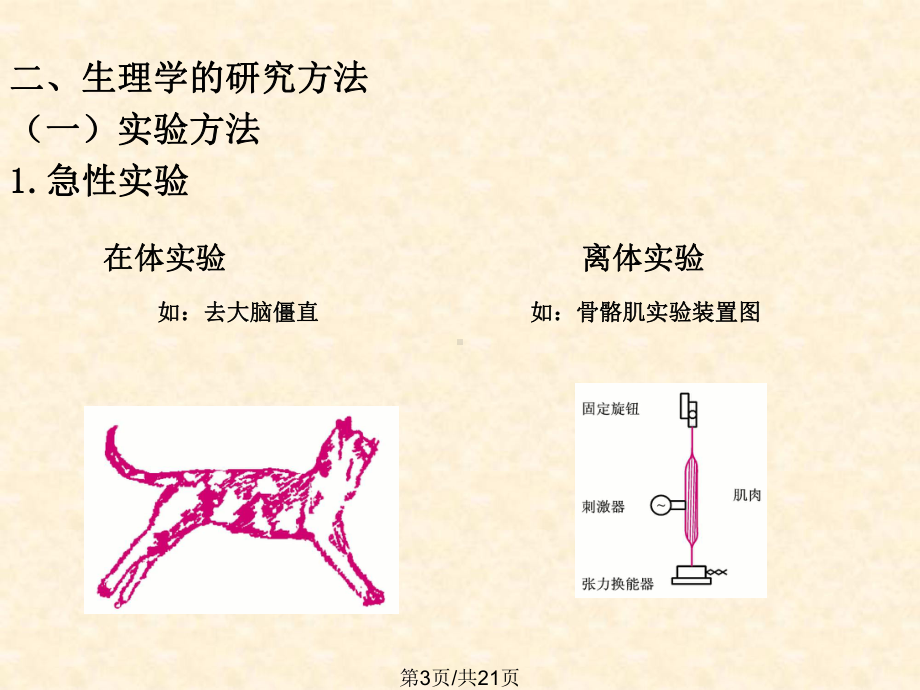 人体生理学课件.pptx_第3页