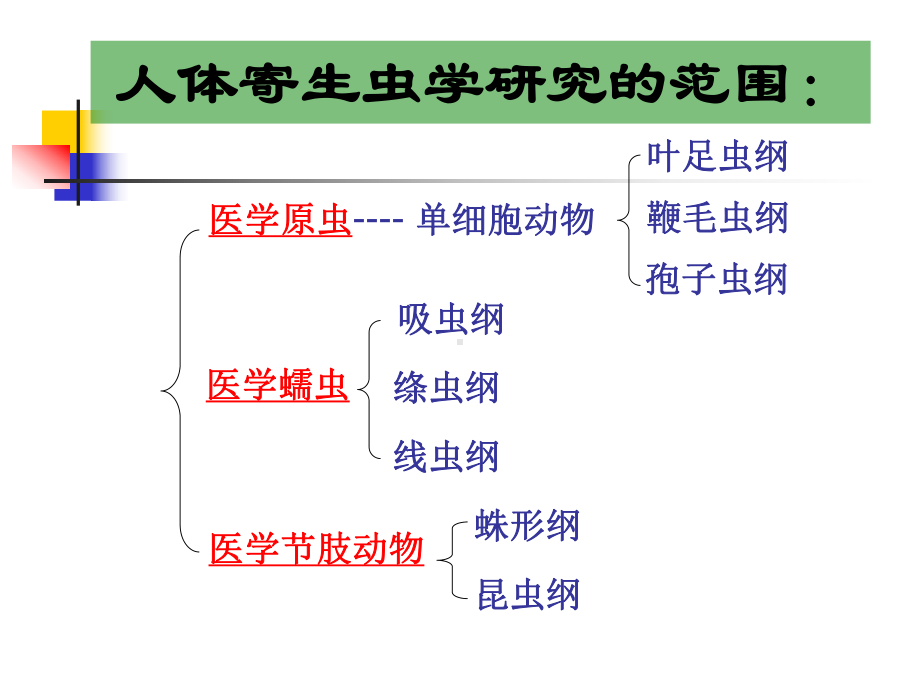 人体寄生虫学课件(同名44).ppt_第3页