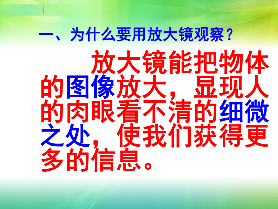 六年级科学《放大镜》课件.ppt_第2页