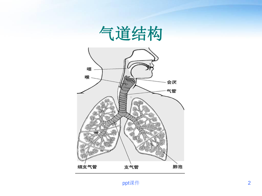 人工气道的建立和管理-课件.ppt_第2页