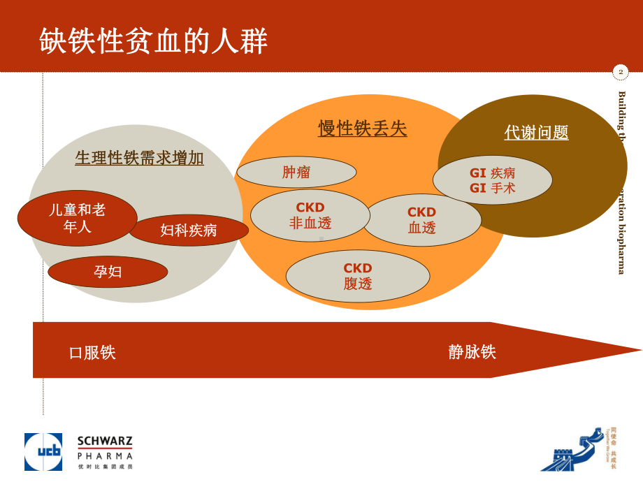 儿童的缺铁性贫血课件.ppt_第2页