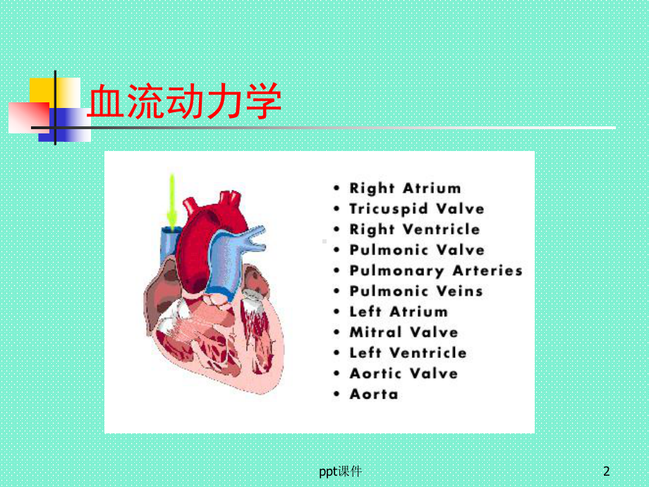 内科学课件心脏瓣膜病-课件.ppt_第2页