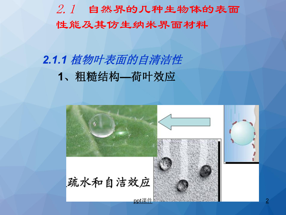 仿生智能材料-课件.ppt_第2页