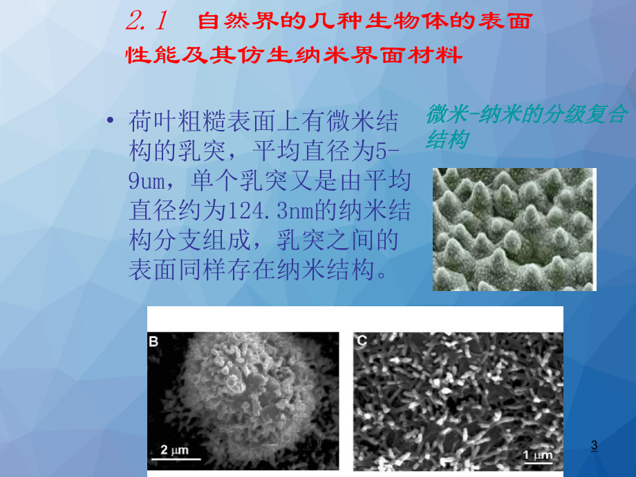 仿生智能材料-课件.ppt_第3页