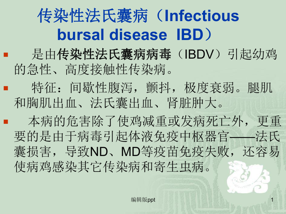 传染性法氏囊病医学课件.ppt_第1页