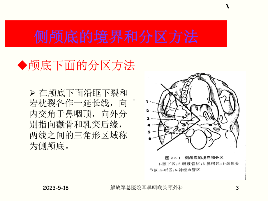 侧颅底解剖课件.ppt_第3页