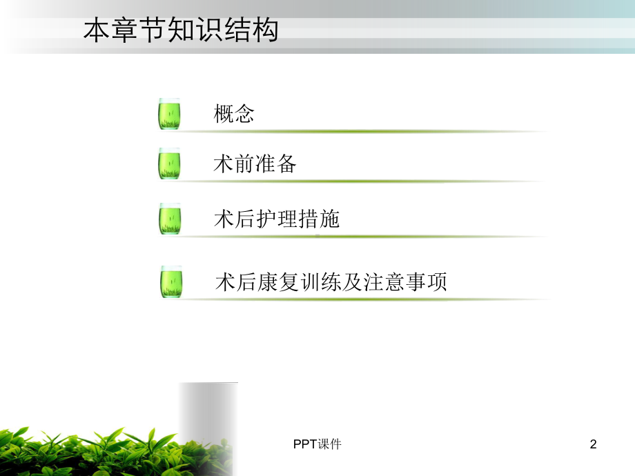 人工髋关节置换术后的护理-课件.ppt_第2页