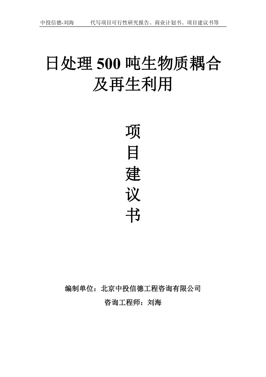 日处理500吨生物质耦合及再生利用项目建议书-写作模板.doc_第1页