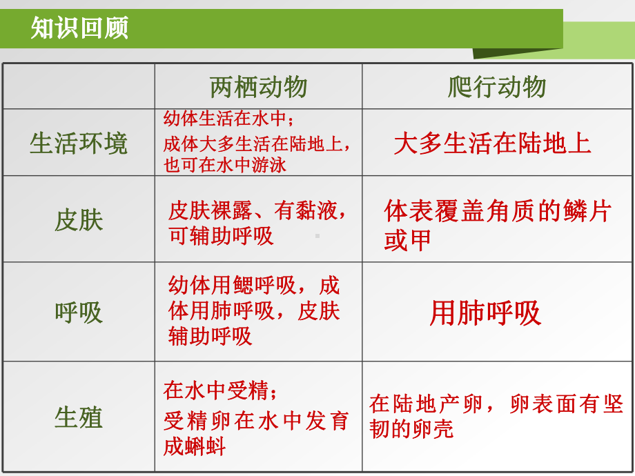 八年级上册第一章第六节鸟(齐欢)课件.ppt_第1页