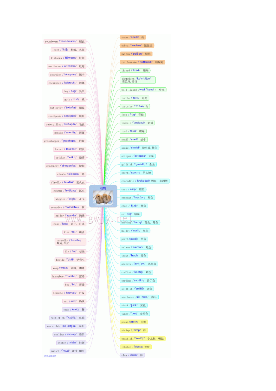 英语单词记忆思维导图.doc_第3页