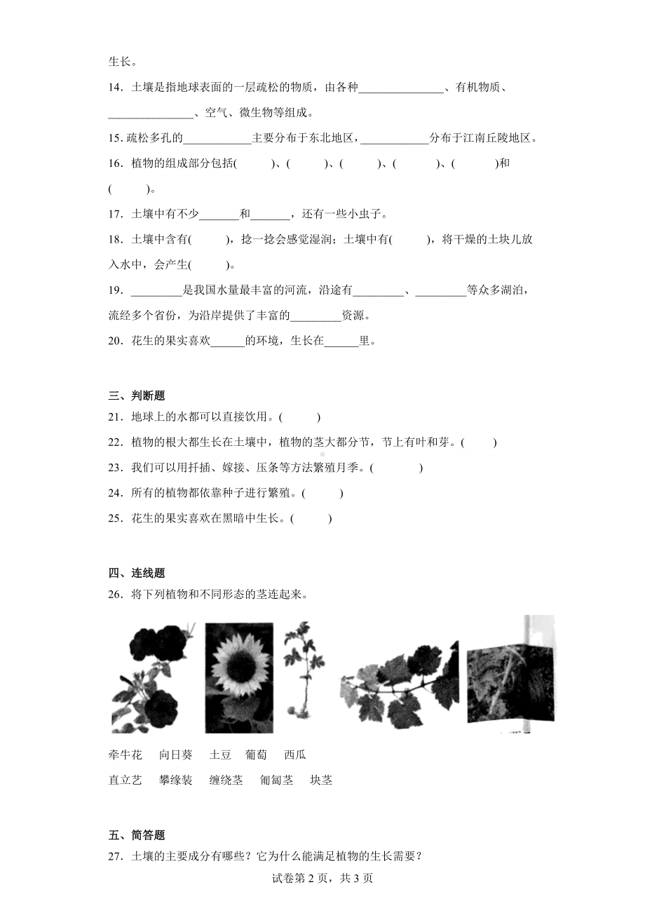 2023新冀人版四年级下册《科学》期中测试卷（1-2单元）（含答案）.docx_第2页