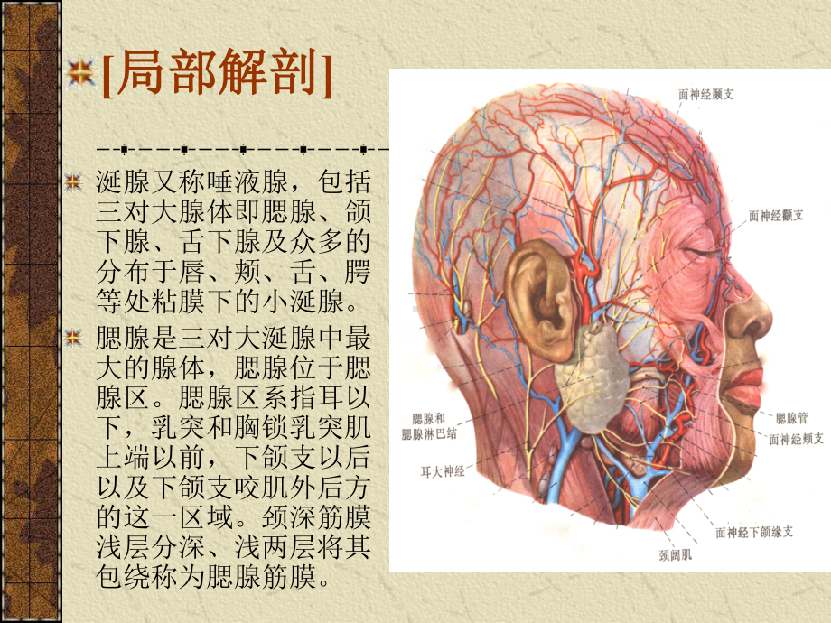 医学-腮腺癌的手术治疗-课件.ppt_第2页