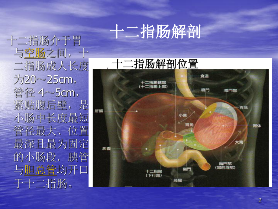 十二指肠癌课件.ppt_第2页