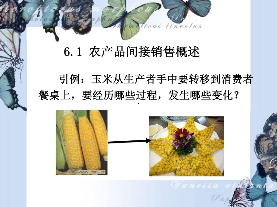 农产品间接销售课件.ppt_第2页