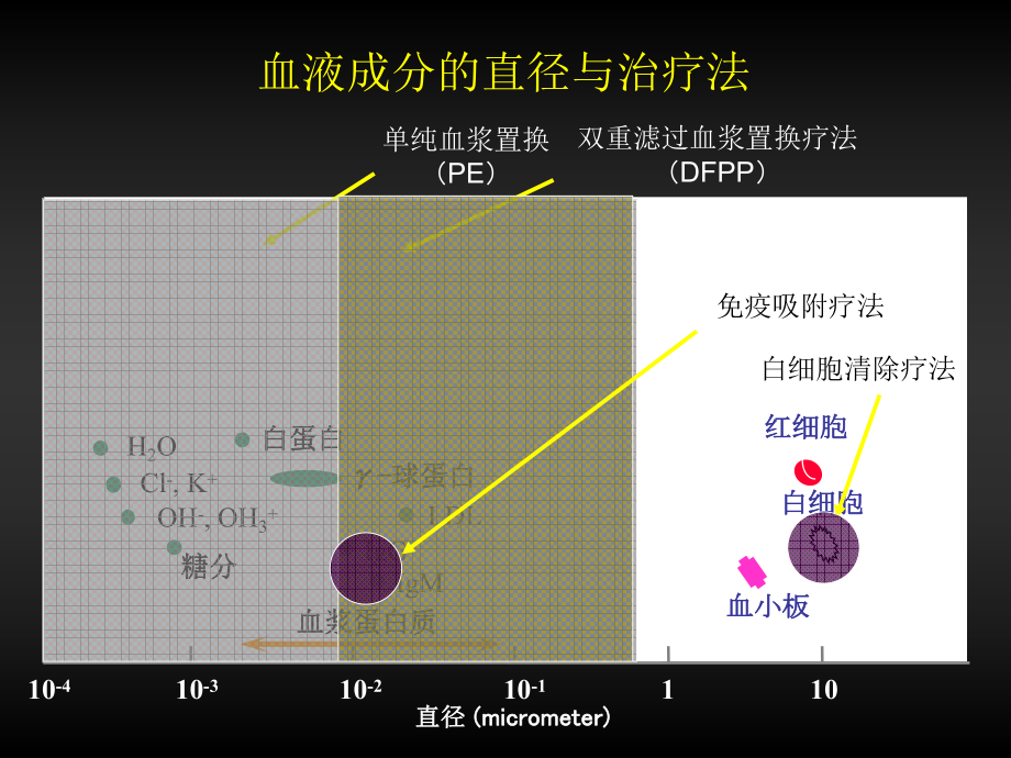 免疫吸附治疗风湿免疫疾病适应证课件.ppt_第2页