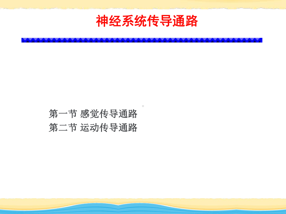 传导通路-课件.ppt_第1页