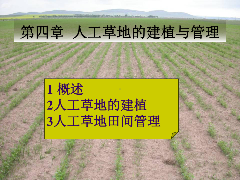 人工草地的建立-课件.ppt_第1页