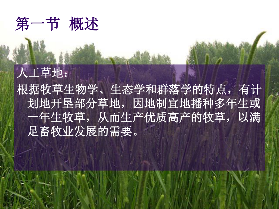 人工草地的建立-课件.ppt_第2页