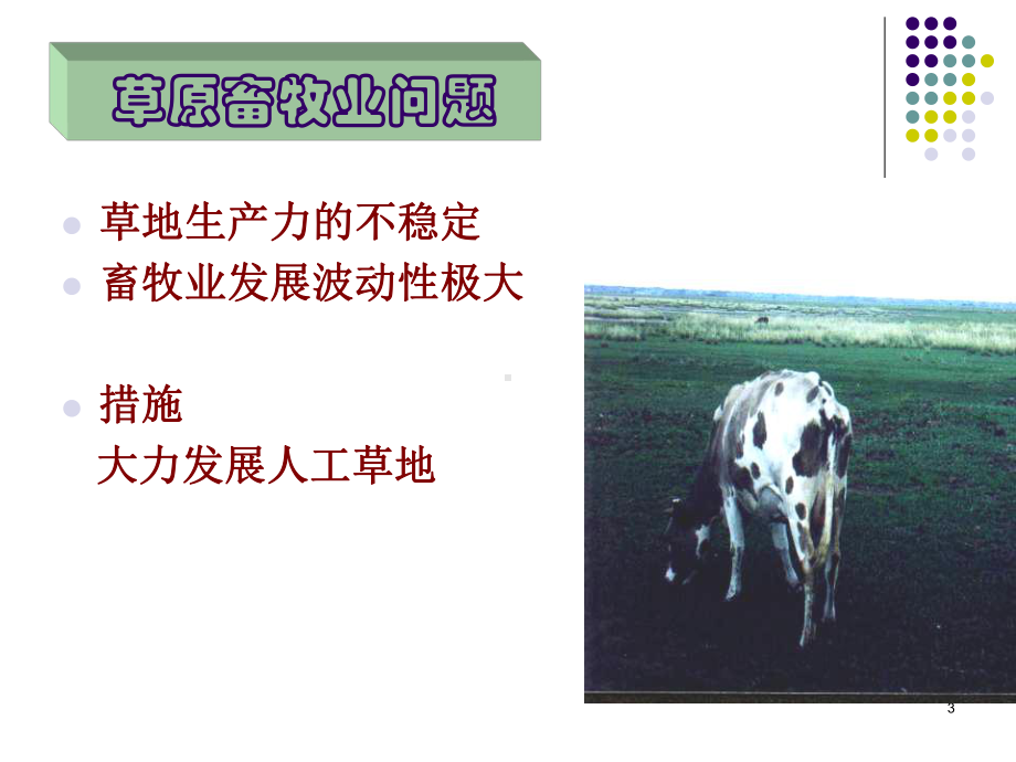 人工草地的建立-课件.ppt_第3页