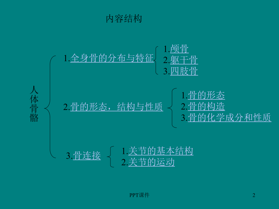 人体骨骼构成图解-课件.ppt_第2页